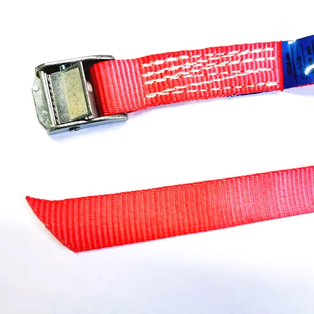 Cam Buckle Lashing Strap