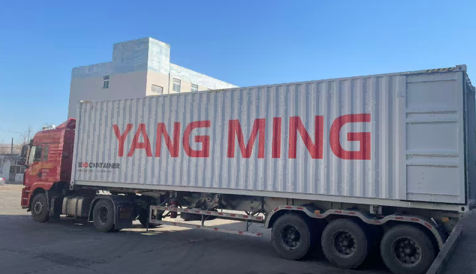 New Year Approaching, Our Service Continues Without Interruption